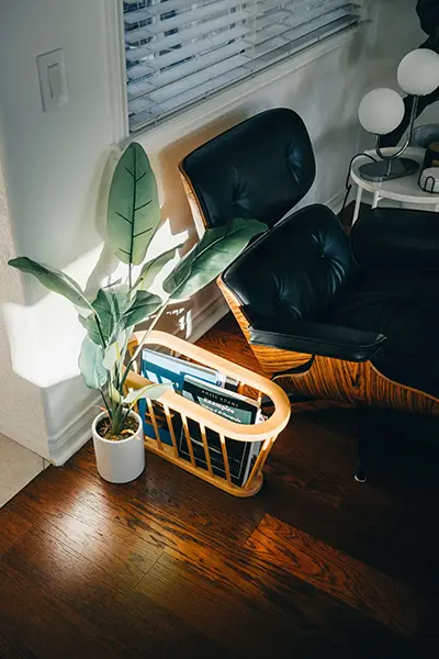 Eames Lounge Chair Pflanze