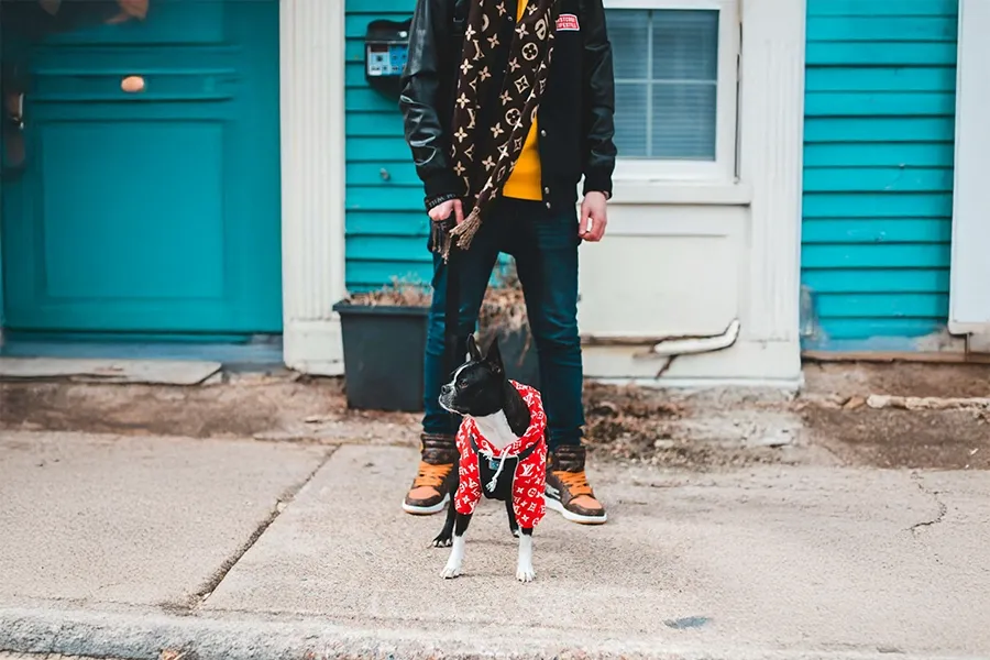 Mann mit Hund in Louis Vuitton